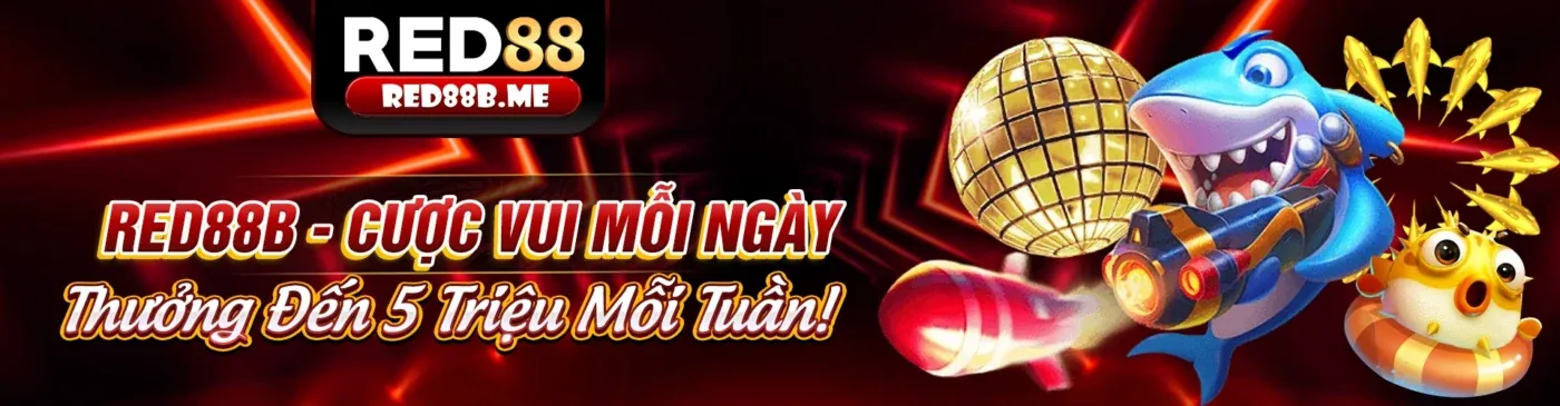 Tổng quan về sao5699, nền tảng giải trí trực tuyến hàng đầu